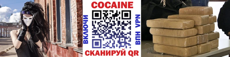 где купить   Мещовск  COCAIN Fish Scale 