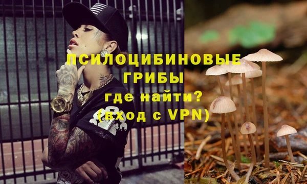 spice Алексин