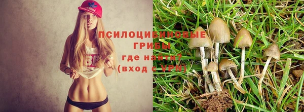 гашик Абаза