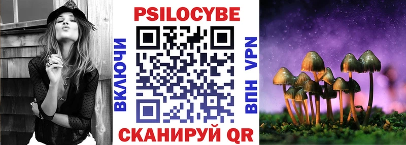 Галлюциногенные грибы Psilocybe  mega ссылка  Мещовск 